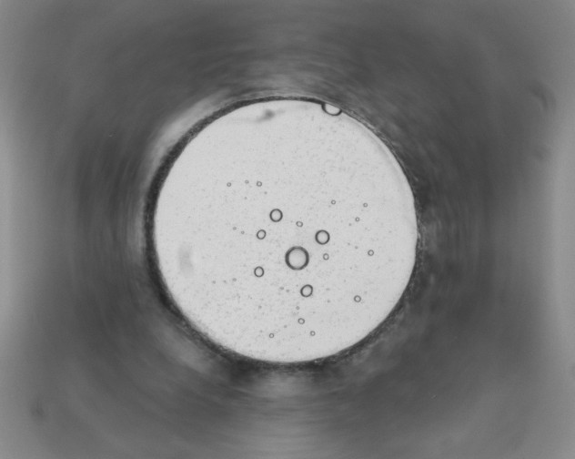 X0000111940248200909071305
