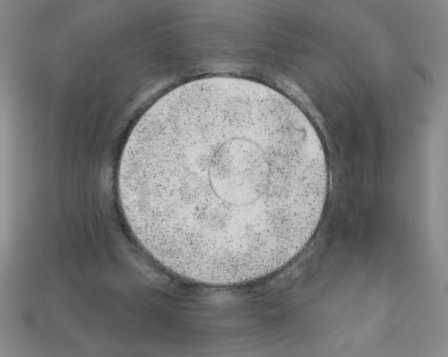 X0000111940249200909071305