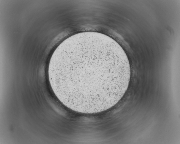 X0000111940250200909071305