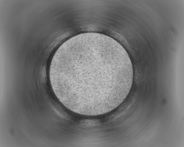 X0000111940251200909071305