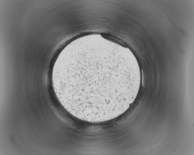 X0000111940252200909071305