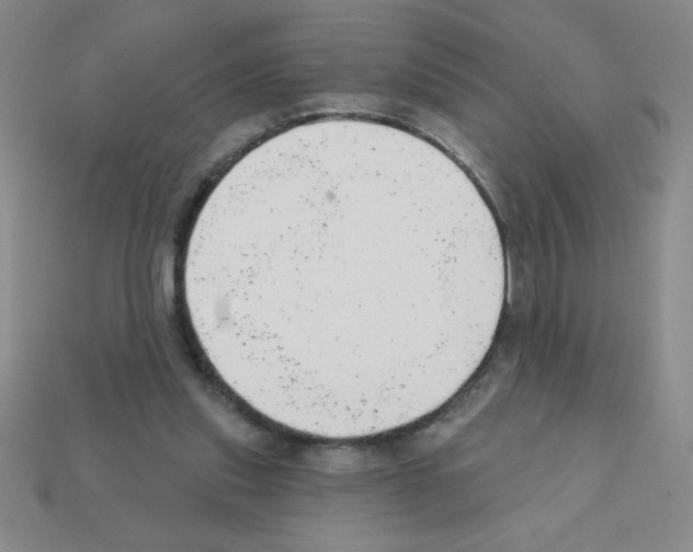 X0000111940253200909071305
