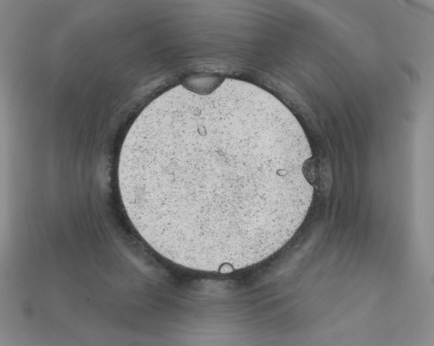 X0000111940255200909071305