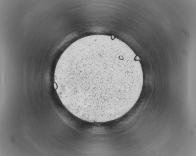 X0000111940256200909071305