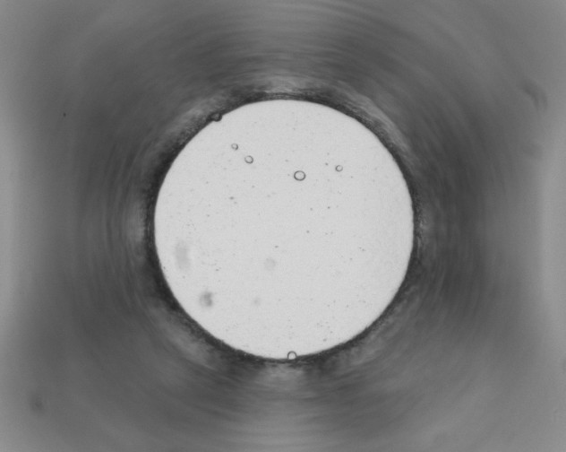 X0000111940257200909071305