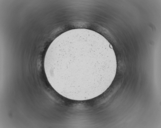 X0000111940259200909071305