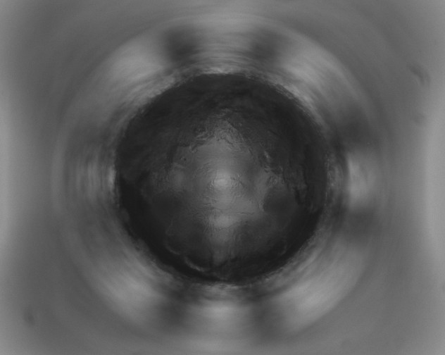 X0000111940261200909071305