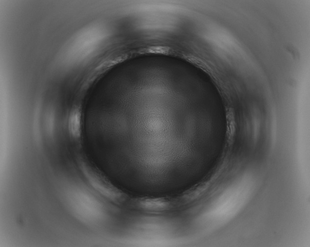 X0000111940262200909071305