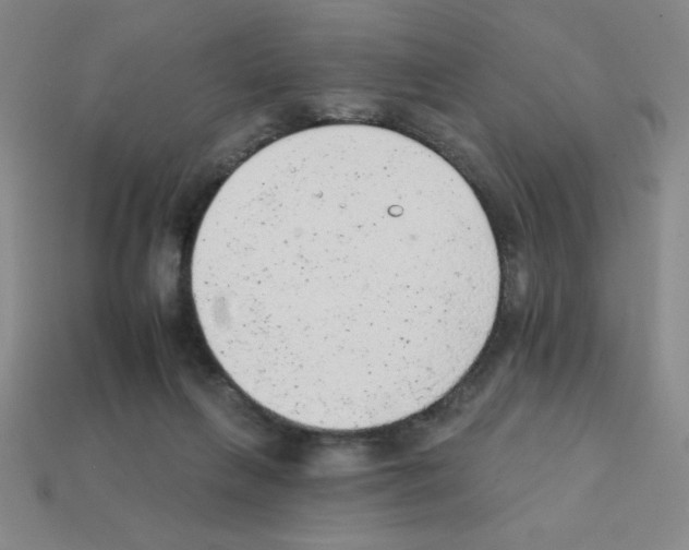 X0000111940263200909071306
