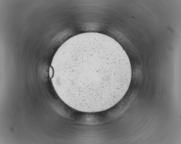 X0000111940264200909071306