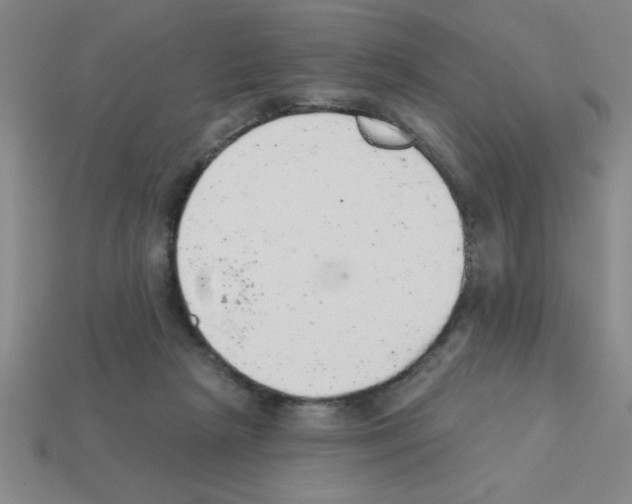 X0000111940265200909071306