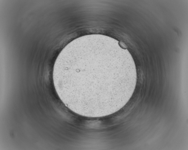 X0000111940266200909071306