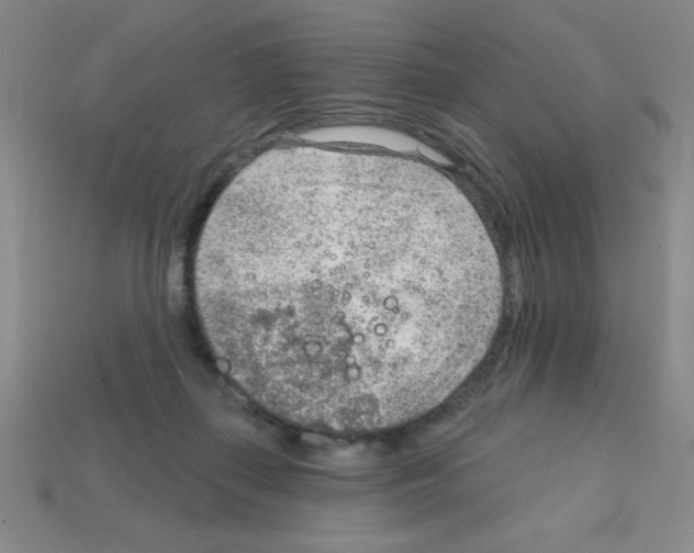 X0000111940267200909071306