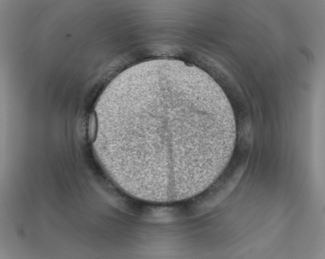 X0000111940268200909071306