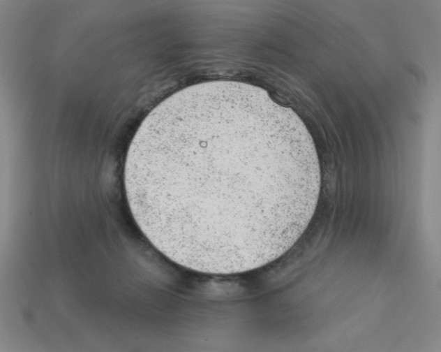 X0000111940270200909071306
