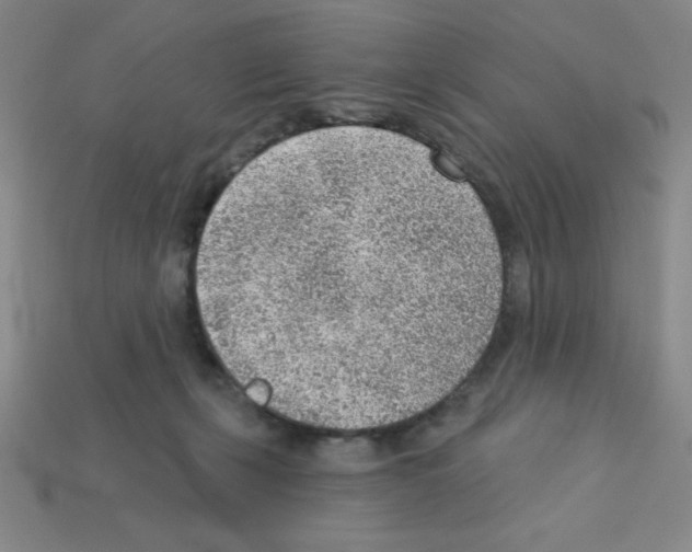 X0000111940271200909071306