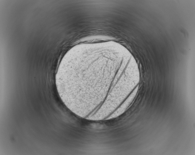 X0000111940272200909071306