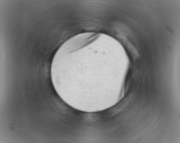 X0000111940273200909071306