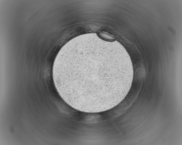 X0000111940274200909071306