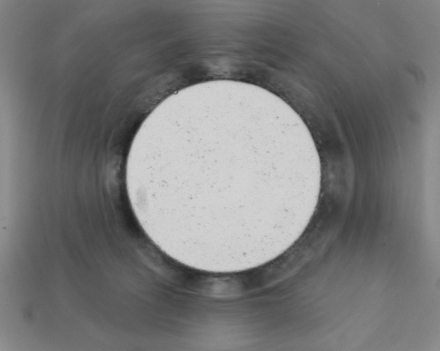 X0000111940275200909071306