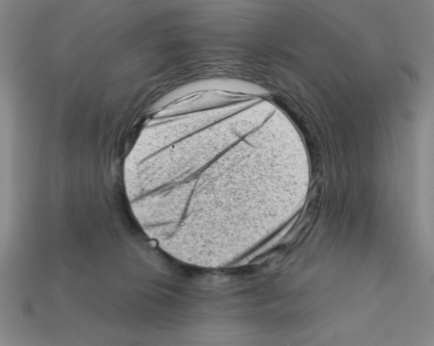 X0000111940276200909071306