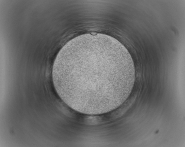 X0000111940277200909071306