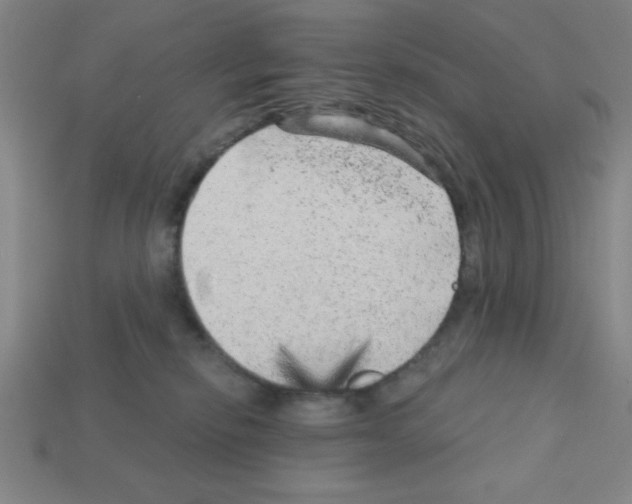 X0000111940278200909071306