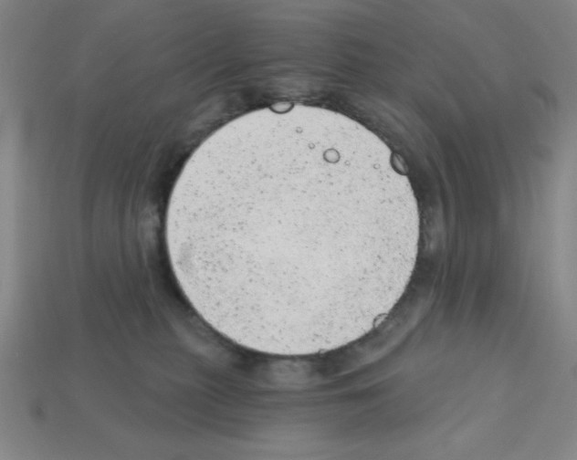 X0000111940279200909071306