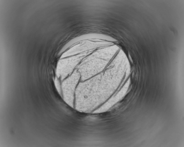 X0000111940280200909071306