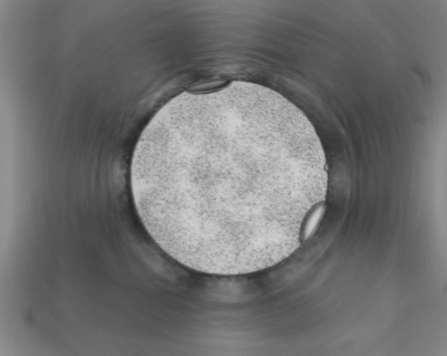 X0000111940282200909071306