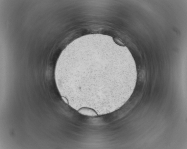 X0000111940283200909071306
