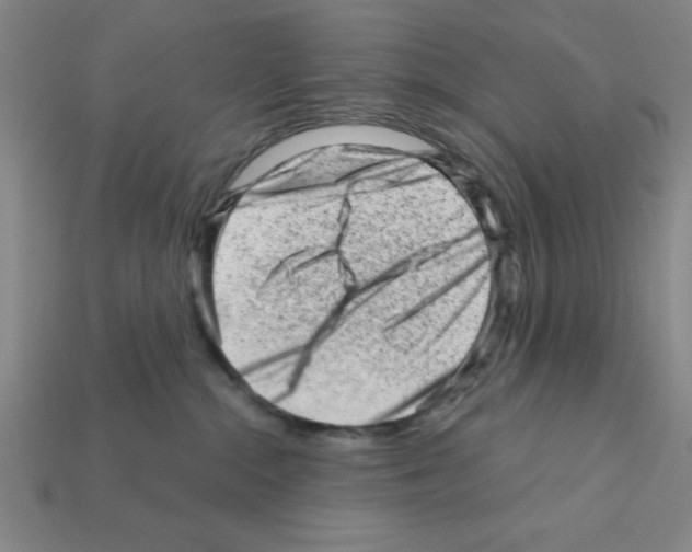 X0000111940284200909071306