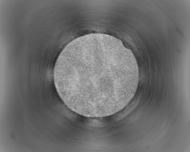 X0000111940285200909071306