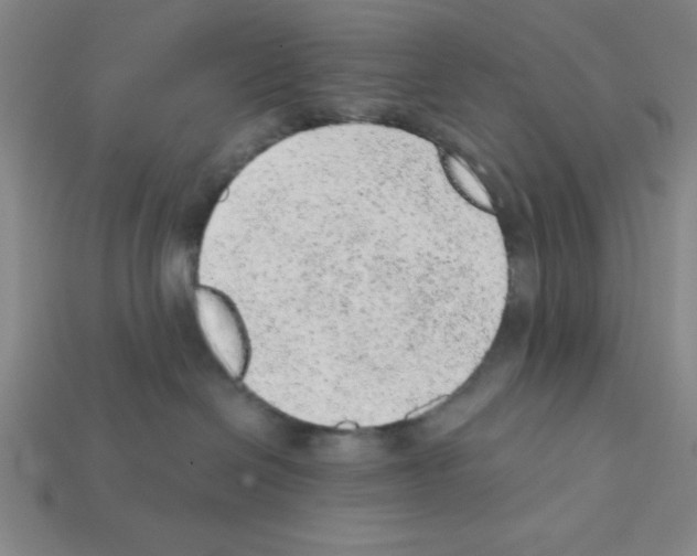 X0000111940286200909071306