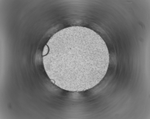 X0000111940287200909071306