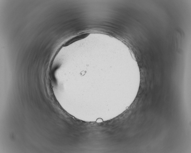 X0000111940289200909071305