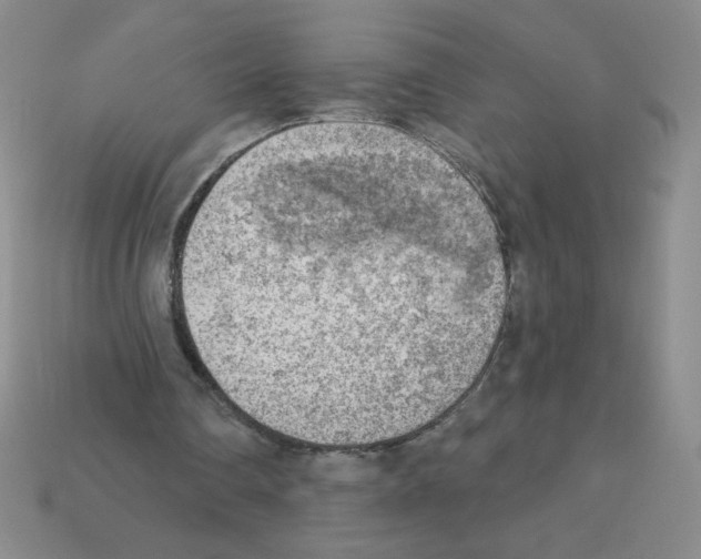 X0000111940290200909071305