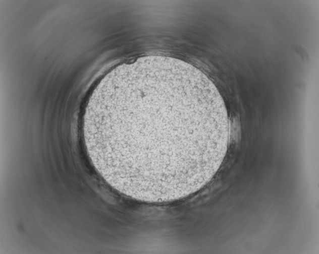 X0000111940291200909071305