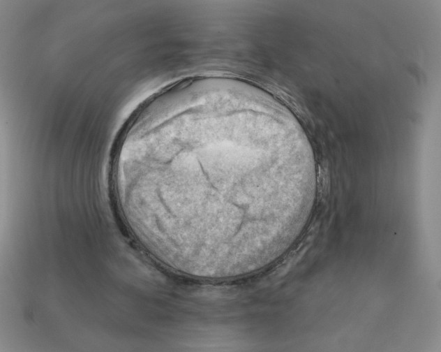 X0000111940292200909071305