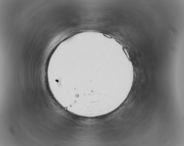 X0000111940293200909071305