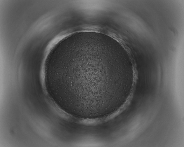 X0000111940294200909071305