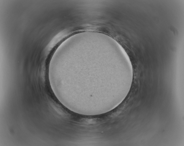 X0000111940295200909071305