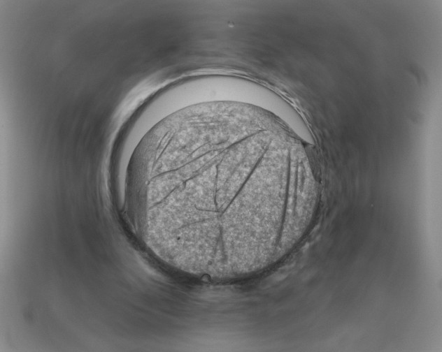 X0000111940296200909071305