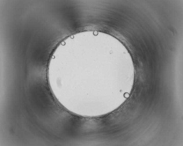 X0000111940297200909071305