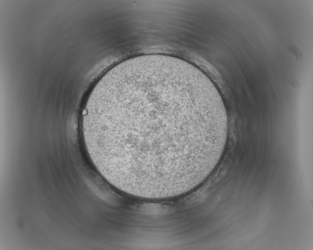 X0000111940298200909071305