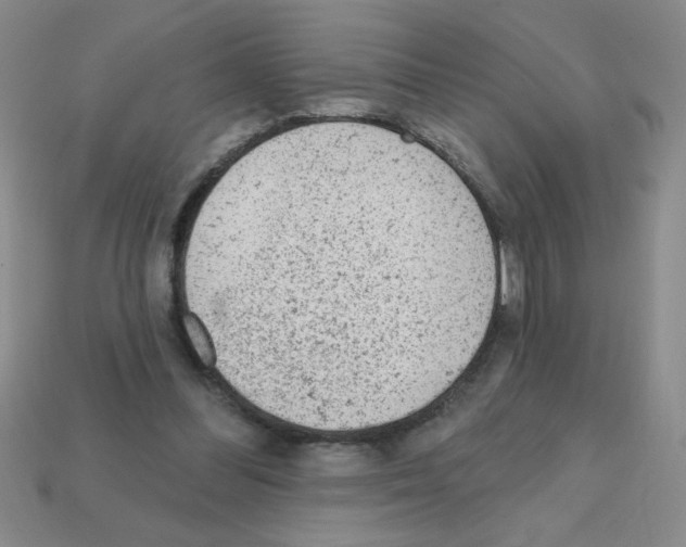 X0000111940300200909071305