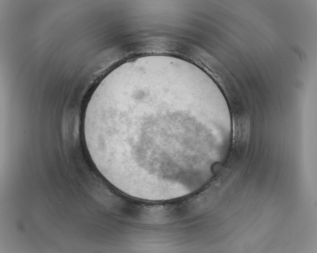 X0000111940301200909071305