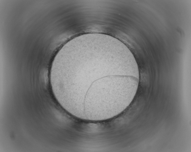 X0000111940302200909071305