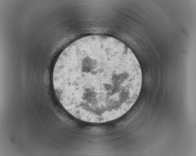 X0000111940303200909071305