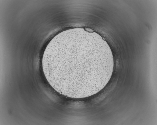 X0000111940304200909071305